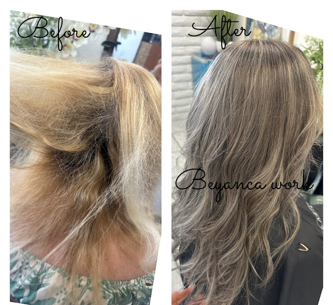 Avalon Salon 3