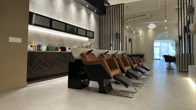 PaulDavid Salon 1