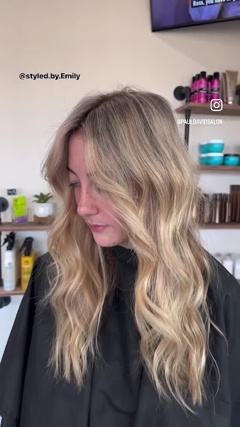 PaulDavid Salon 2