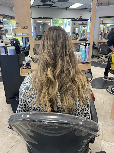 Bushire Salon & Spa 2
