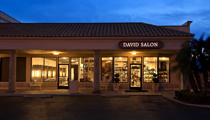 The David Salon 2