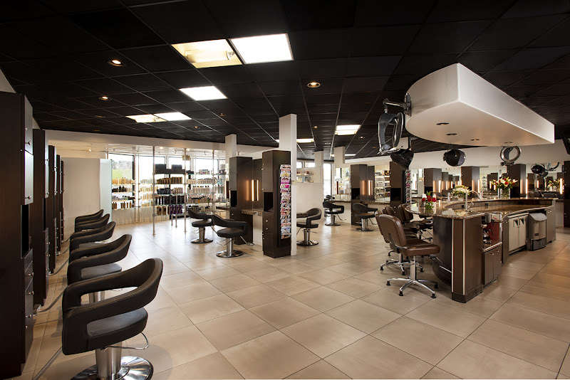 The David Salon 3