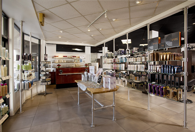 The David Salon 4