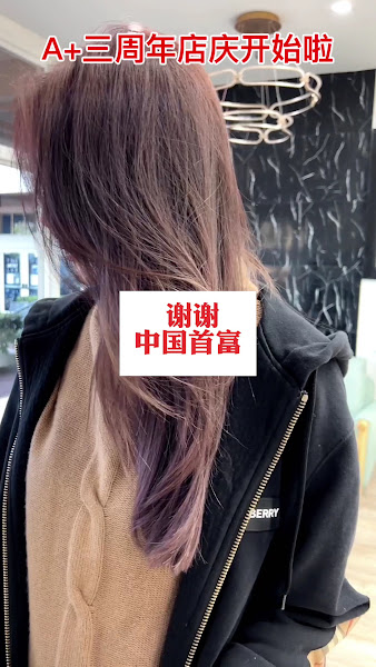 A+ Salon 2
