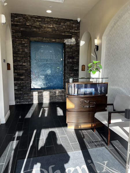 Phenix Salon Suites 3