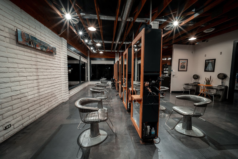 The Young American Salon - Southern Local 3