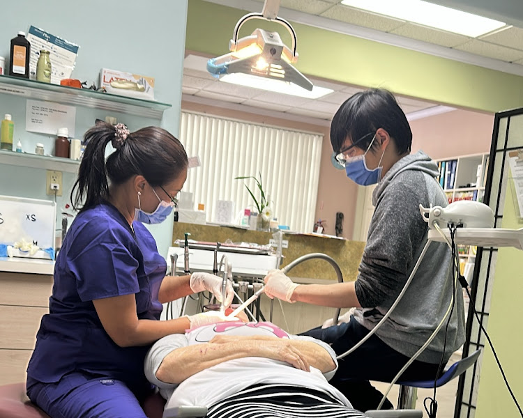 New Vista Dental 4