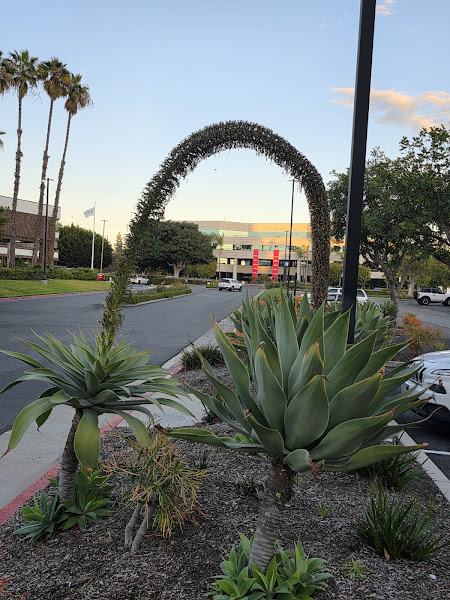 Orange City Square 4