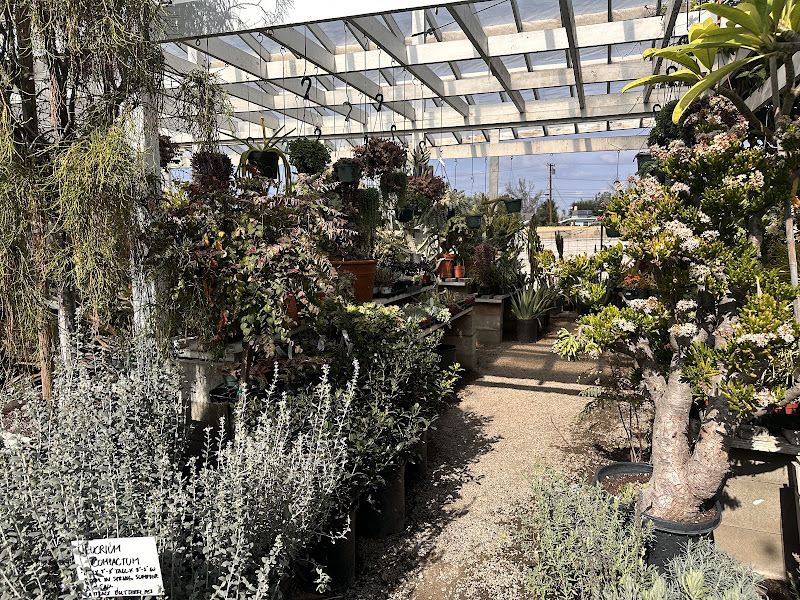 Upland Nursery 3
