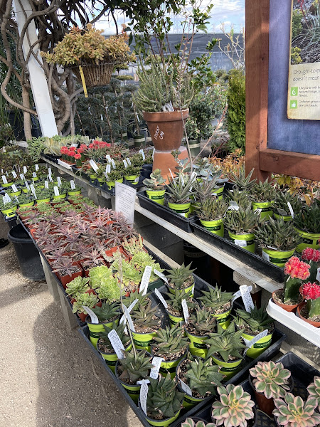 Upland Nursery 4