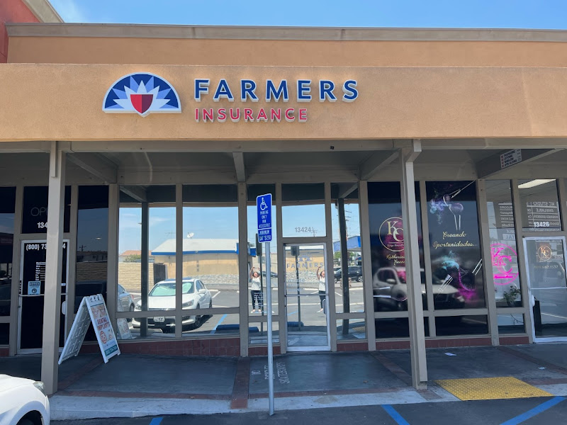 Farmers Insurance - Waleed Afify 2