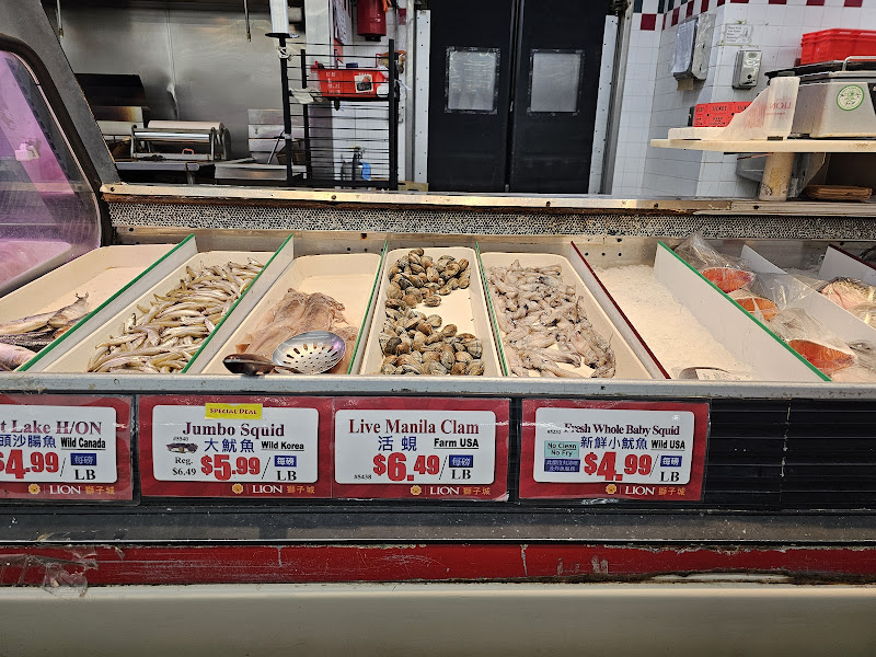 Lion Market 4