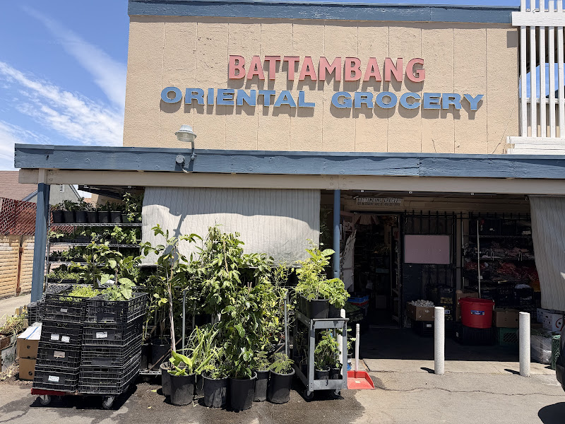 Battambang Oriental Market