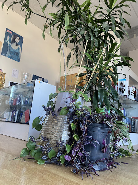 My Linh Salon 3