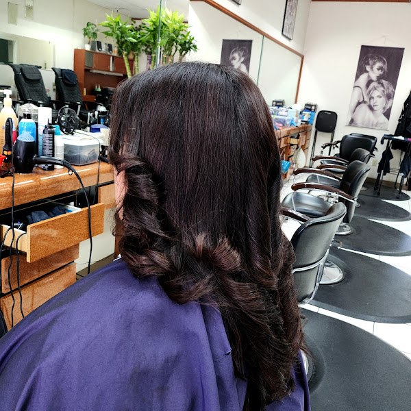 Lily De Salon 3