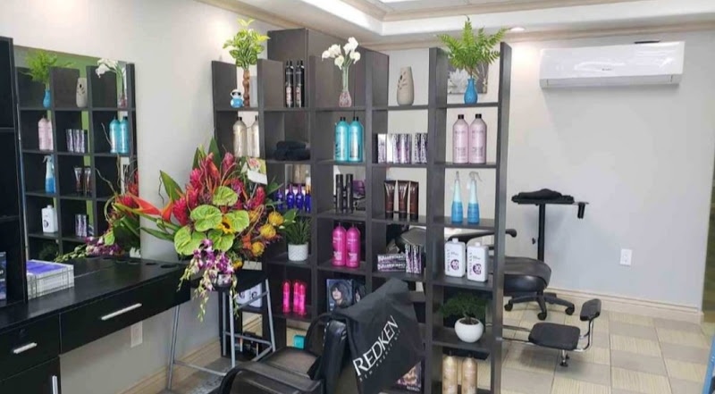 Salon Khang 3