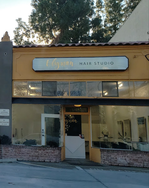 Elysian Hair Studio (Hair By Lily) 4