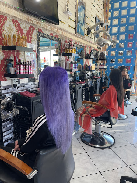 The Hair Village 4