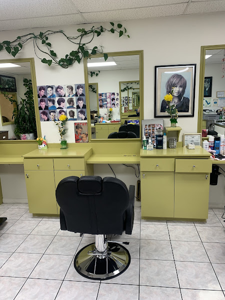 Mimi Hair Express 2