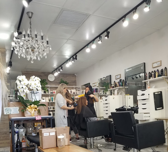 My Stylist Salon 3