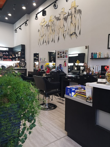 Trend Salon SJ 3