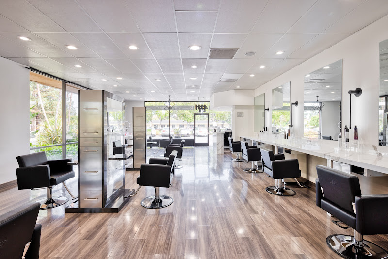Dollhouse Salon 1