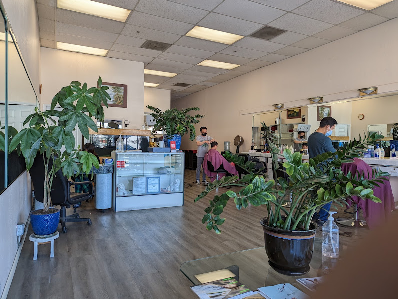Hair & Skin Beauty Salon 3