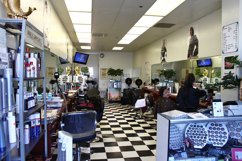 Modec Beauty Salon 2
