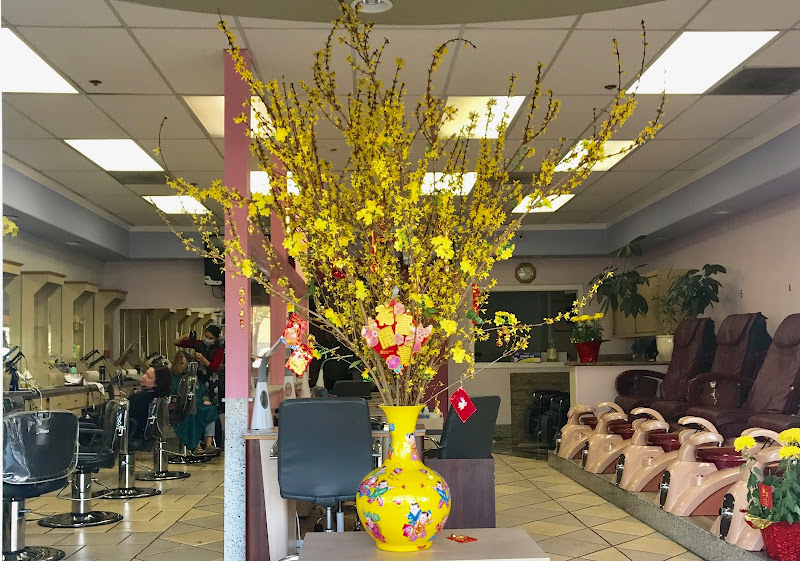 La Bella Salon 3