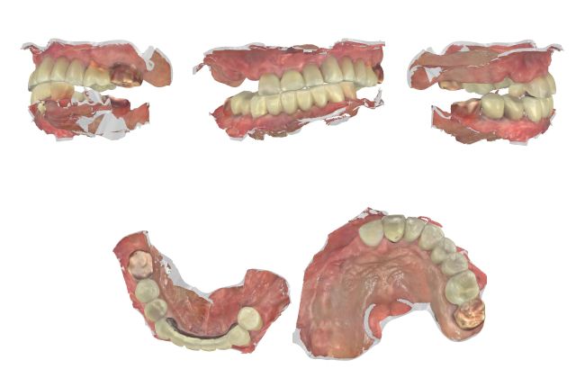 Forest Dentistry 3