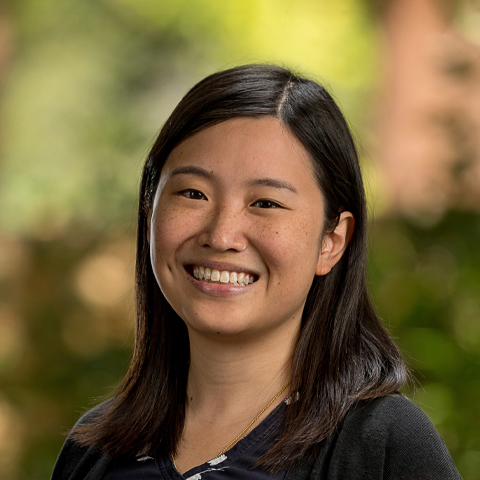 Willow Glen Primary Care Medicine: Sian Lindsay, MD