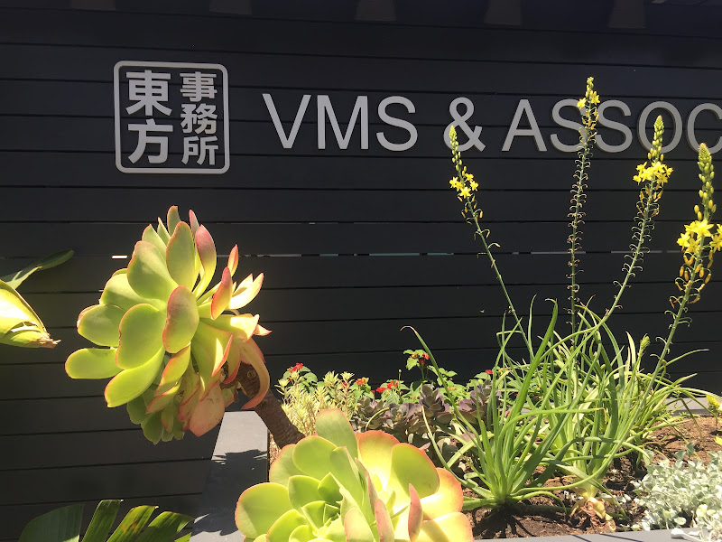 VMS & Associates, Inc. 2