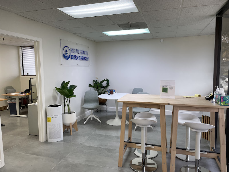 Fast Pro Services- 海牙认证, 中国签证 5