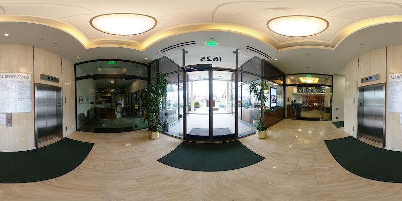 Vivian Xu, San Jose CPA Firm 5