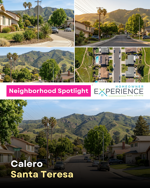 Theresa Wellman - Realtor, Homeowner Experience 4