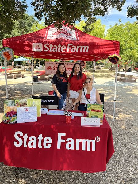 Alexandra Anderson - State Farm Insurance Agent
