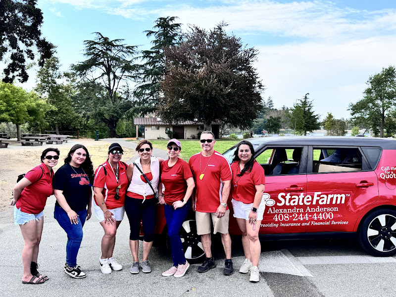 Alexandra Anderson - State Farm Insurance Agent 3