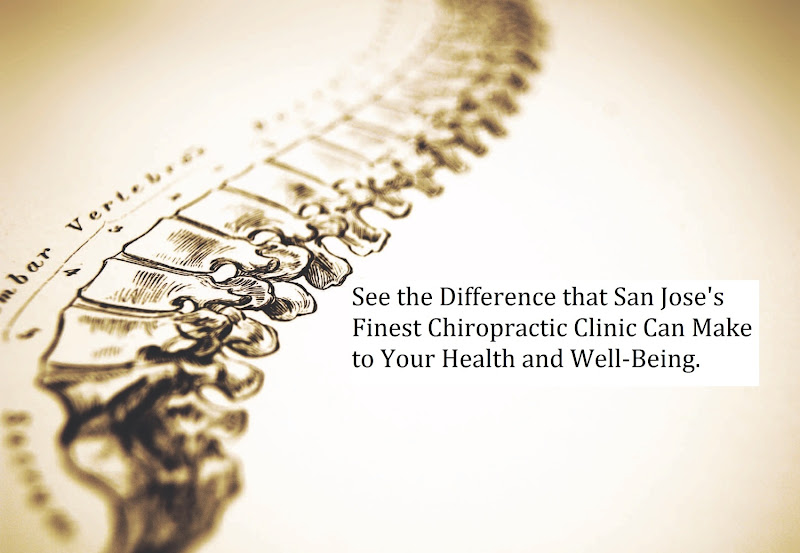 Whole Body Chiropractic & Massage