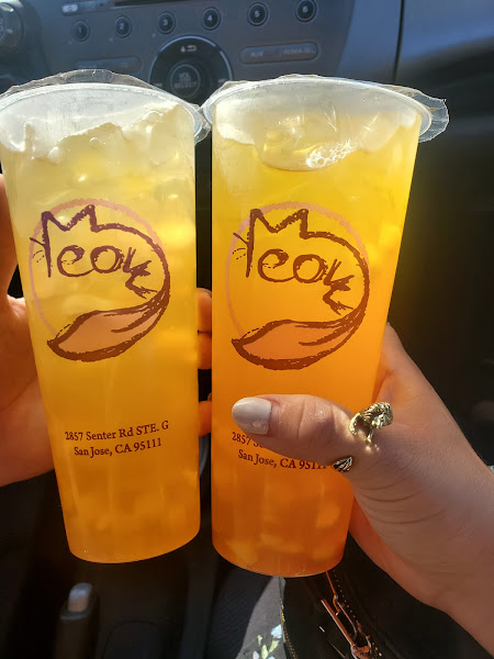 Meow Tea 5