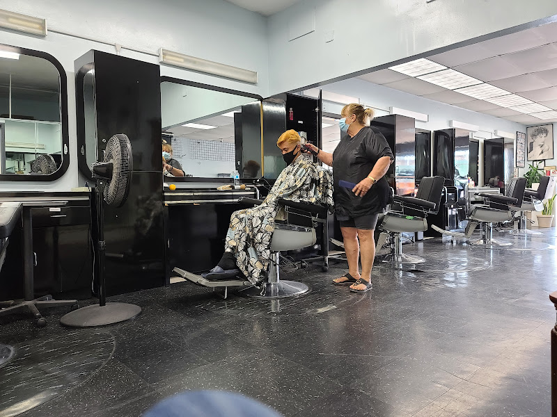 California Beauty Salon 2