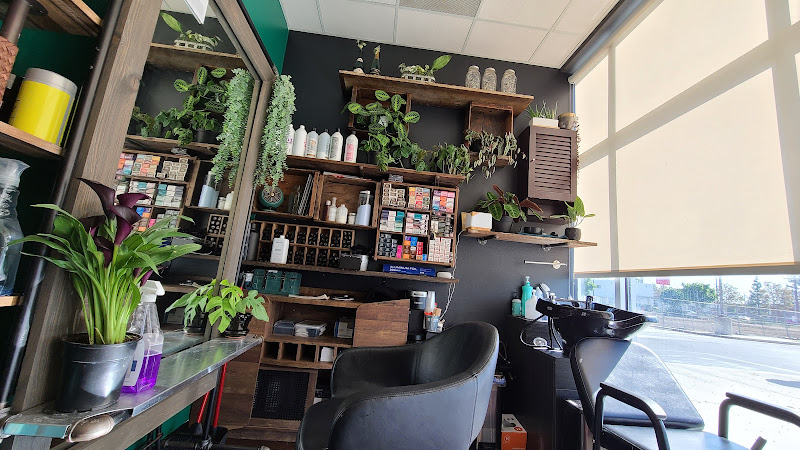 Phenix Salon Suites - Santa Ana 4