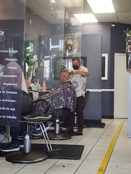 Nova Salon 2