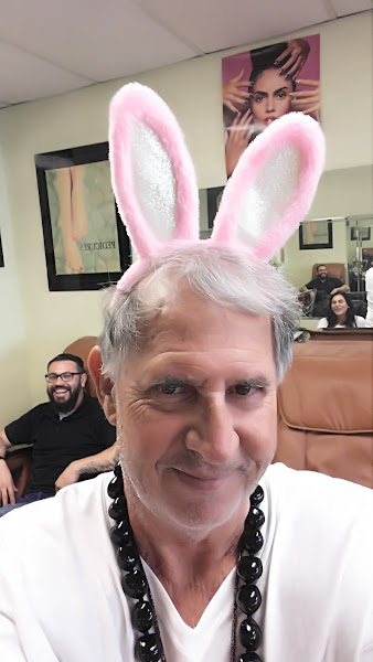 Viva Salon 4