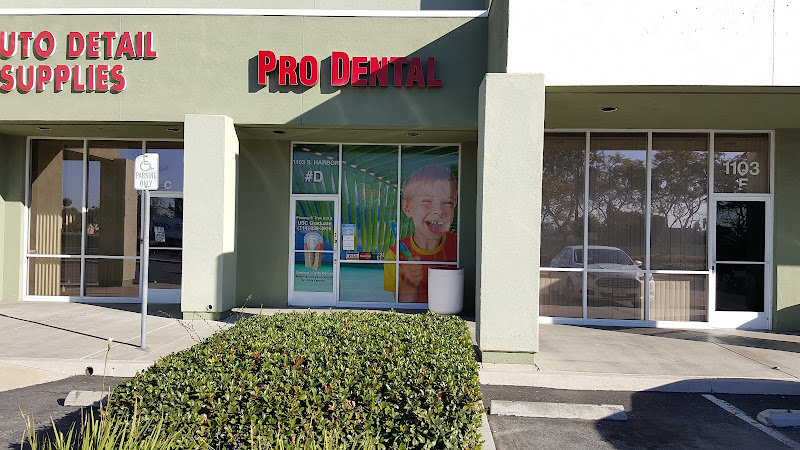 Pro-Dental 3