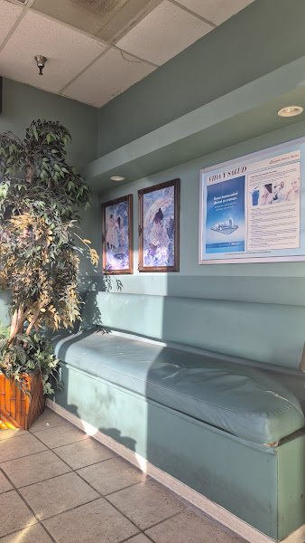Dental Office of Dr.king 1