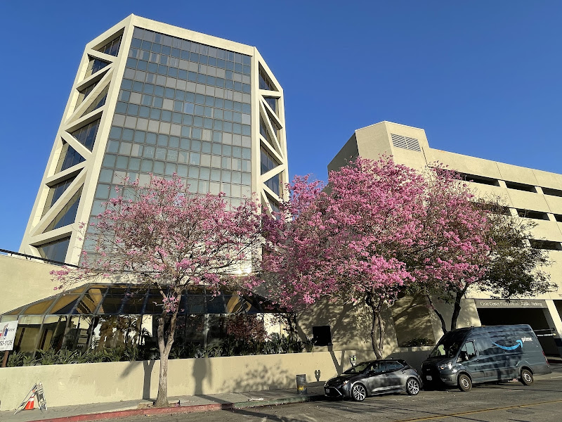 Omega Law Group Accident & Injury Attorneys 3