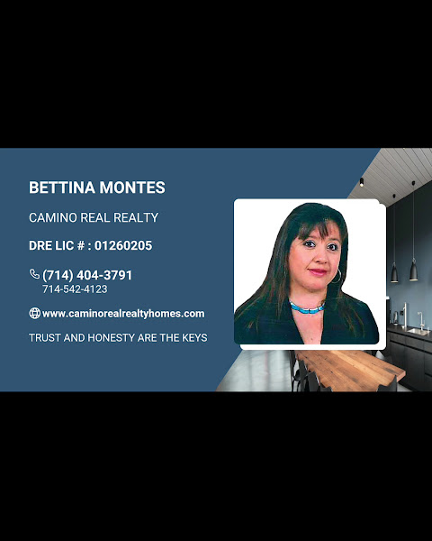 CAMINO REAL REALTY 2