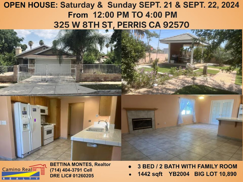 CAMINO REAL REALTY 3