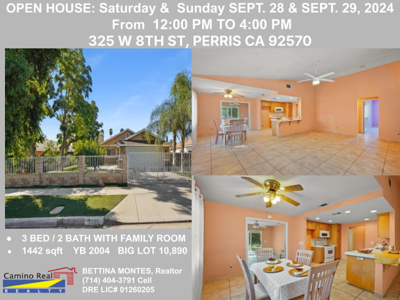 CAMINO REAL REALTY 4