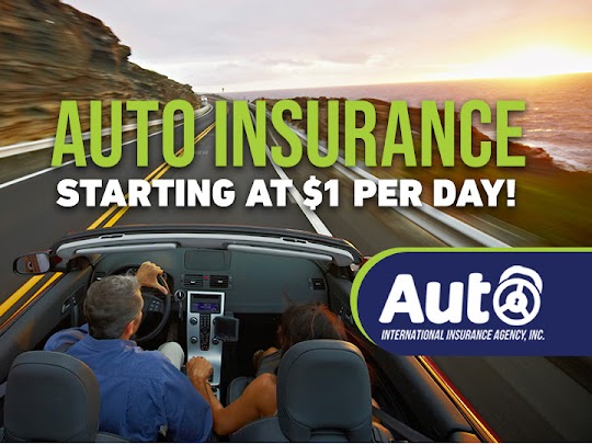 Auto International Insurance 4